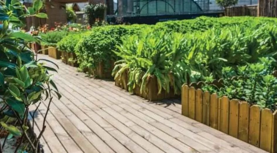 Shraddha-panorama-Gallery-Green-space